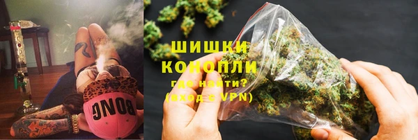 ГАЛЛЮЦИНОГЕННЫЕ ГРИБЫ Балахна