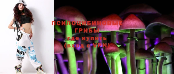 ГАЛЛЮЦИНОГЕННЫЕ ГРИБЫ Балахна
