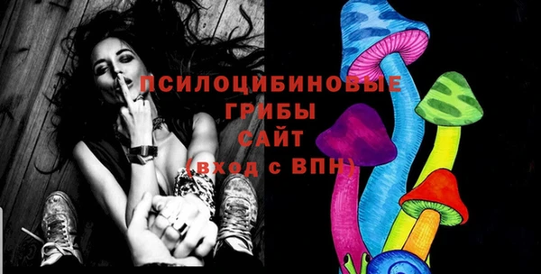 ГАЛЛЮЦИНОГЕННЫЕ ГРИБЫ Балахна